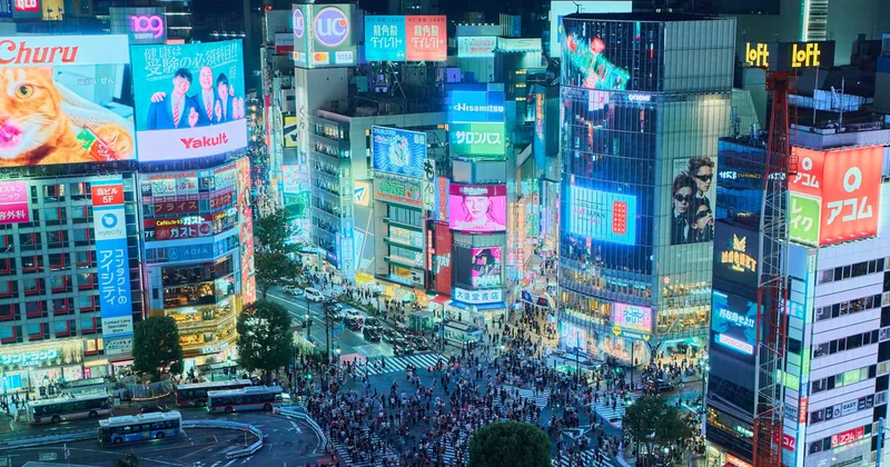 渋谷ハイライト散策と秘密の展望スポット