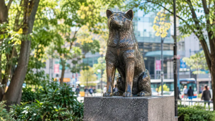Bronzestatue des Akita-Hundes Hachiko auf einem Steinsockel zwischen Bäumen auf einem Bahnhofsvorplatz
